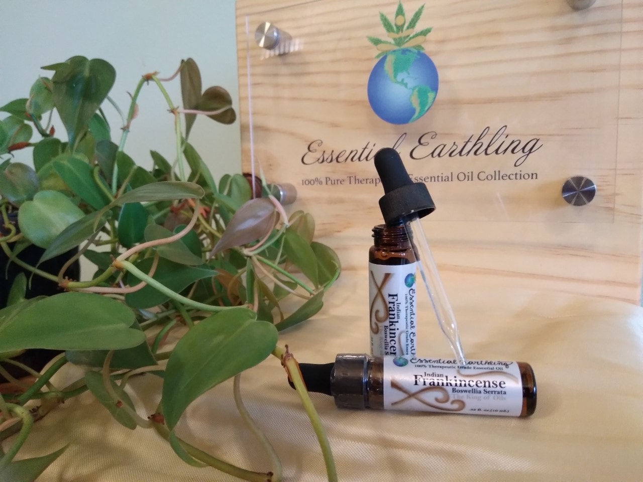 Essential Earthling Frankincense The Organic Earthling   S224413679648481004 P12 I2 W1280 